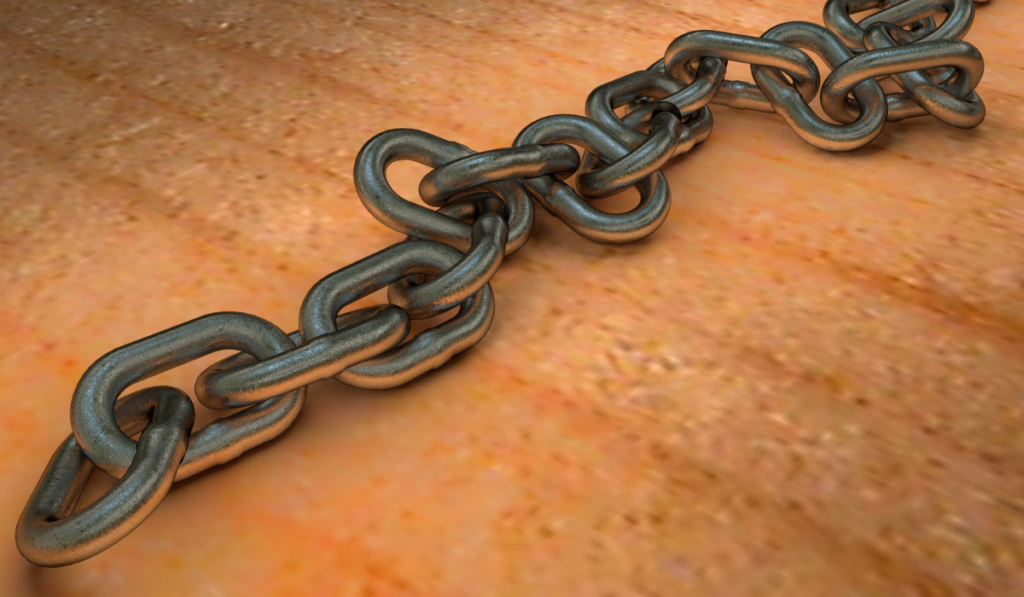 How Many Backlinks Should I Create Per Day?