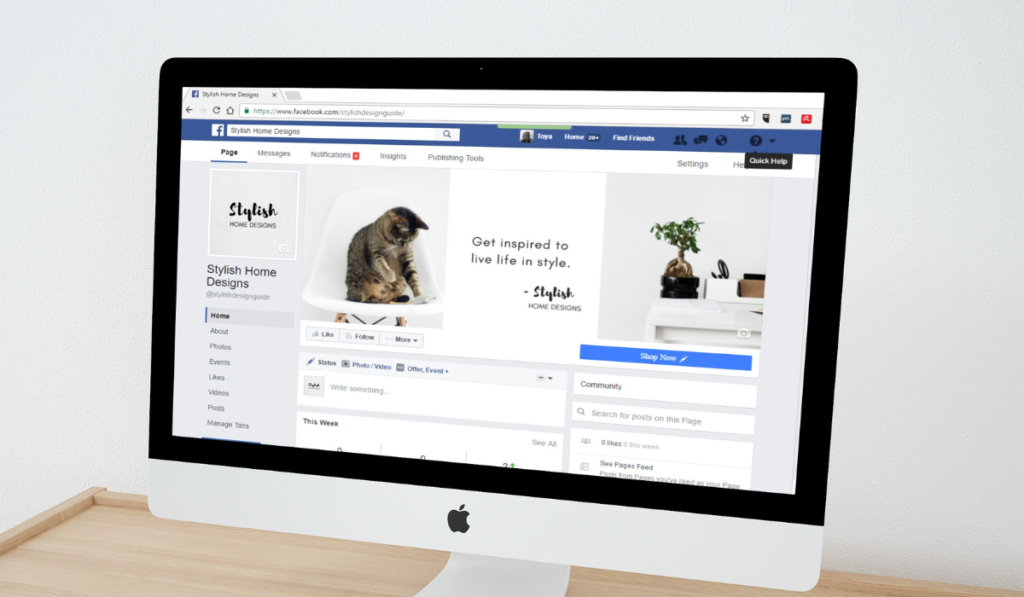 What are the 4 main types of Facebook ads
